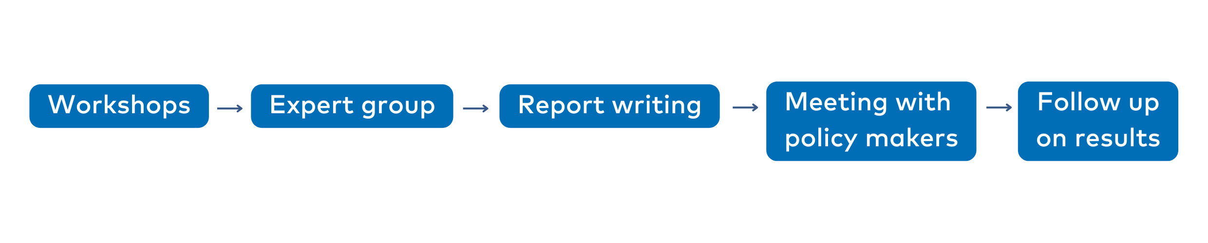 Workshop, expert group, written report, meeting with policy makers, follow up on results. March 22 to March 23.jpg