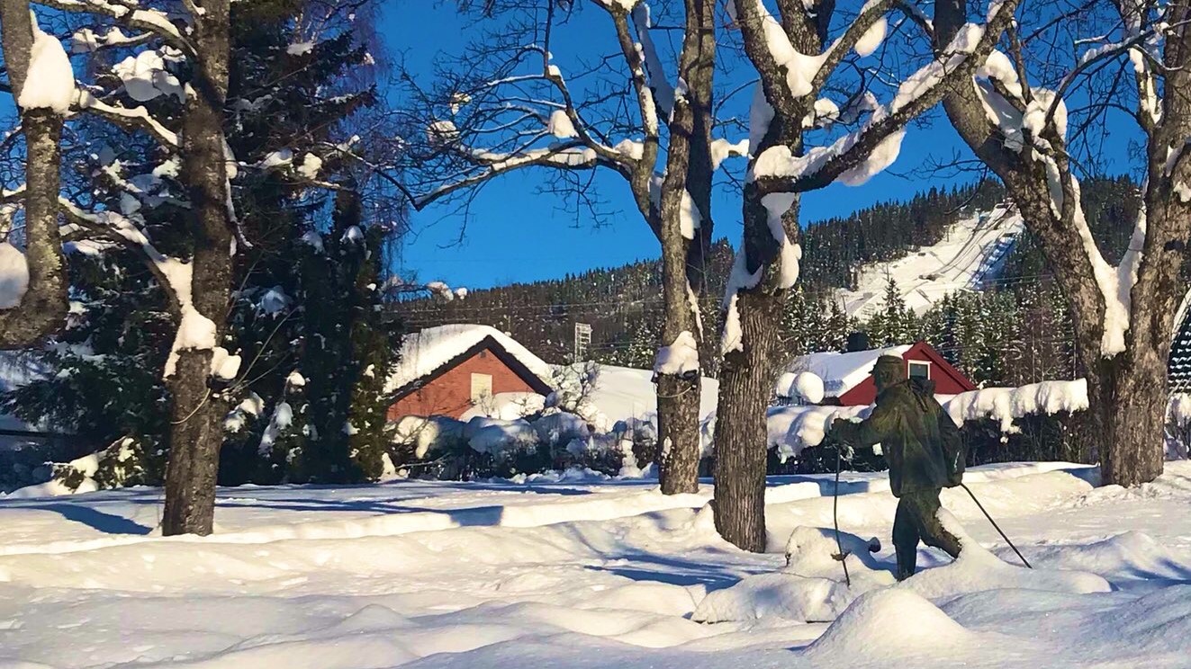 A man walking with sticks in a sunny winter day