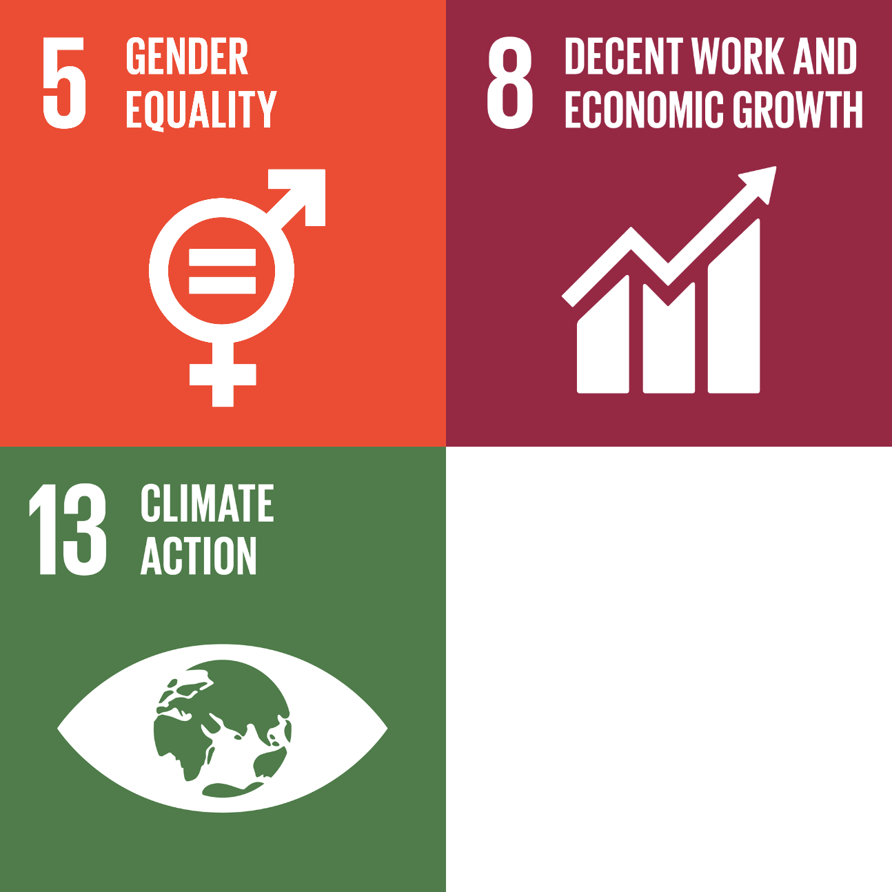 SDG goal 5, 8 and 13